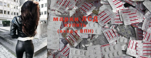 хмурый Абаза