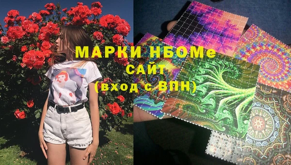 хмурый Абаза