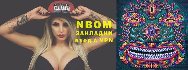хмурый Абаза