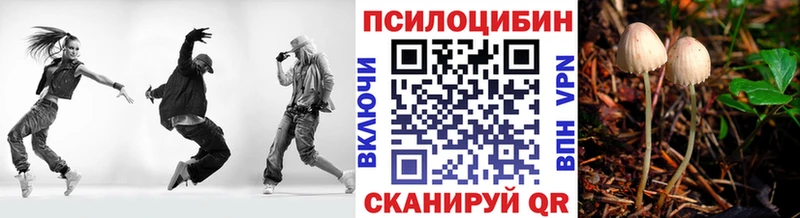 MEGA зеркало  цены наркотик  Сергач  Галлюциногенные грибы мицелий 
